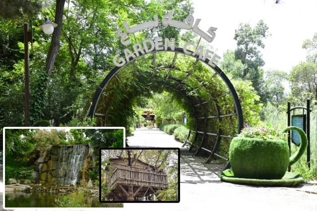 سورپرایز در کافه